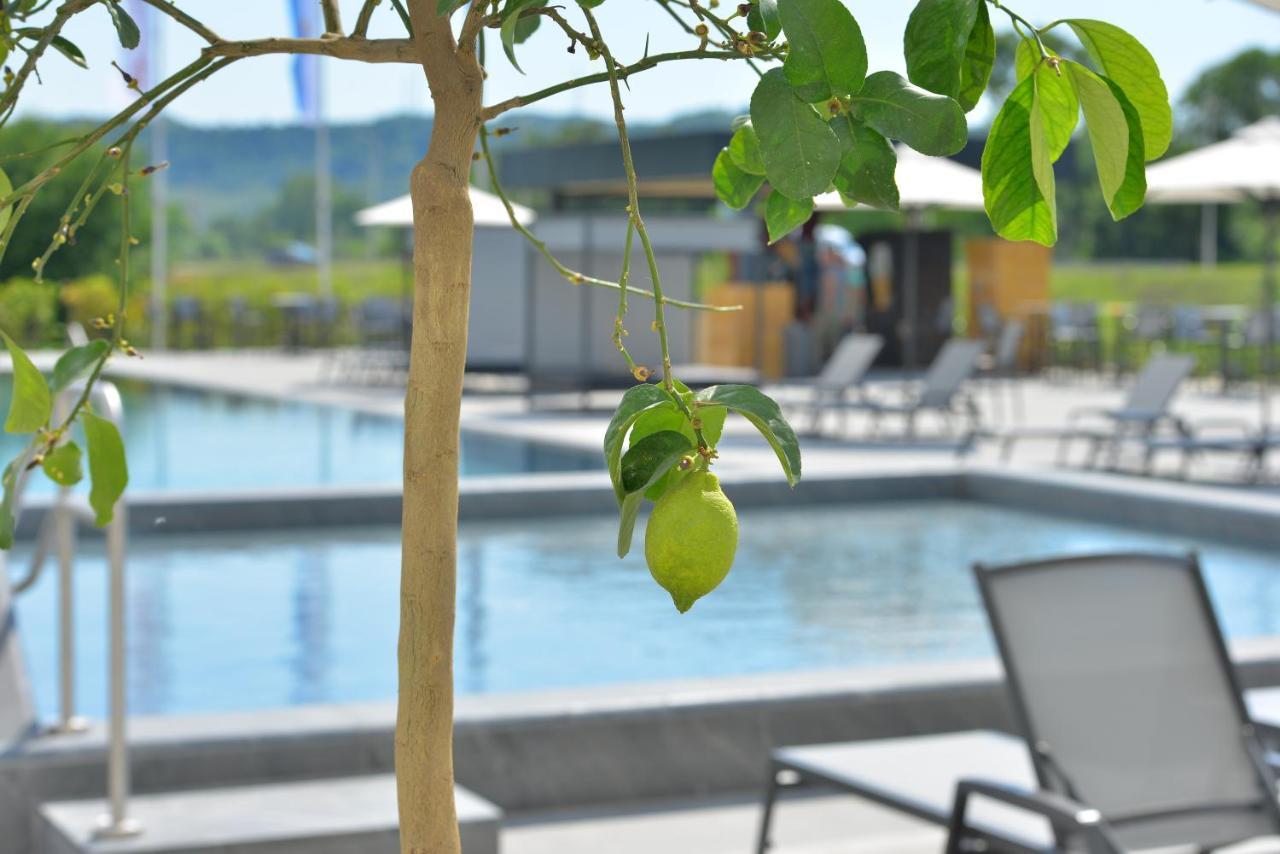 mk hotel tirana Rinas Bagian luar foto The swimming pool
